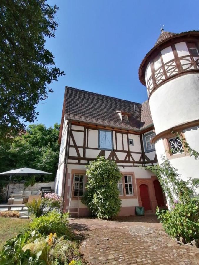 Maison Kobold Xvie Siecle 维桑堡 外观 照片
