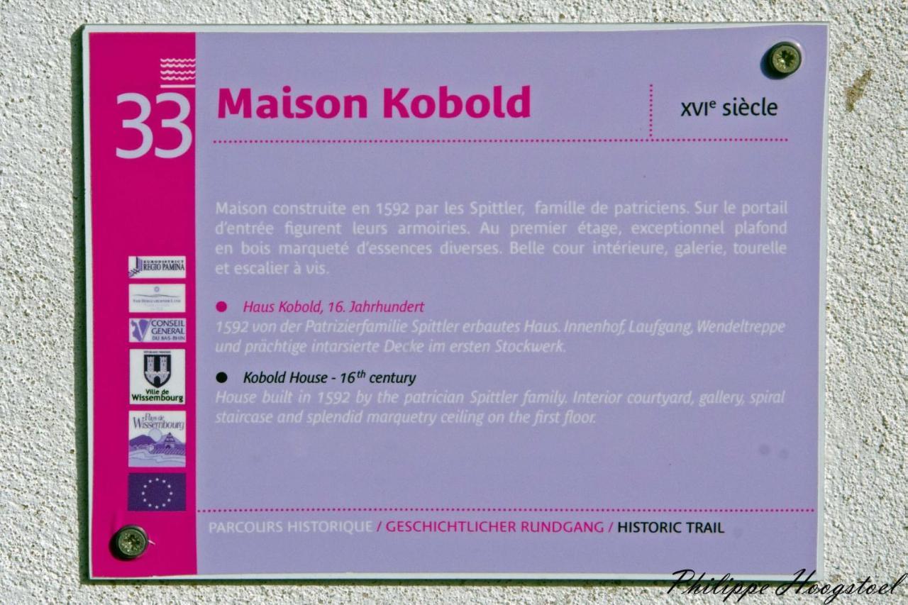 Maison Kobold Xvie Siecle 维桑堡 外观 照片