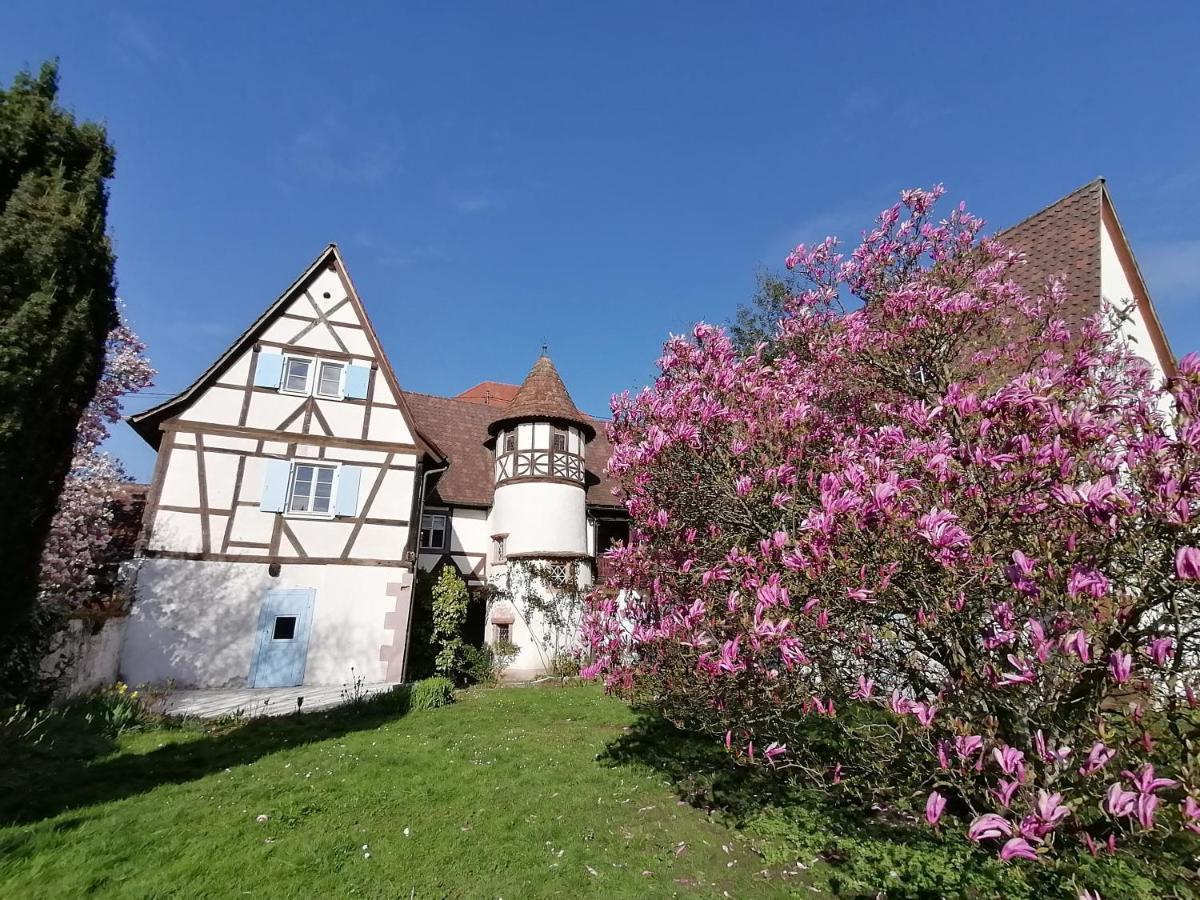 Maison Kobold Xvie Siecle 维桑堡 外观 照片